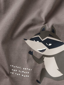 NAME IT T-shirt Kester Falcon